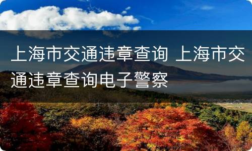 上海市交通违章查询 上海市交通违章查询电子警察
