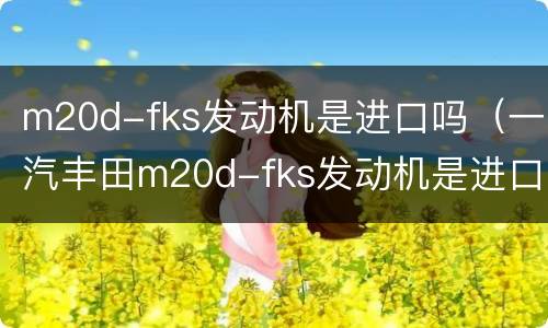 m20d-fks发动机是进口吗（一汽丰田m20d-fks发动机是进口的吗）