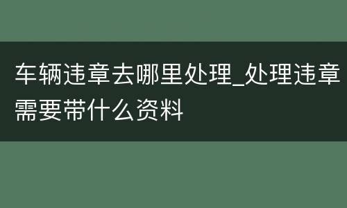 车辆违章去哪里处理_处理违章需要带什么资料