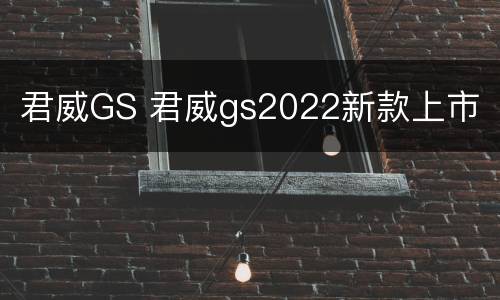 君威GS 君威gs2022新款上市