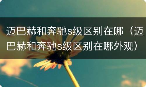 迈巴赫和奔驰s级区别在哪（迈巴赫和奔驰s级区别在哪外观）