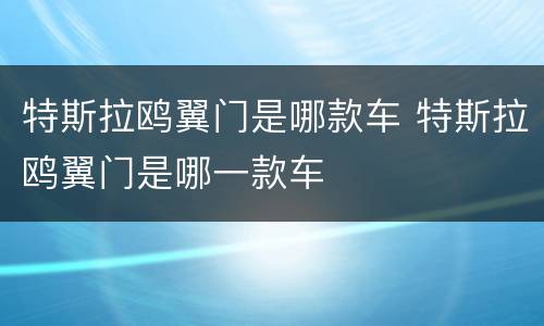 特斯拉鸥翼门是哪款车 特斯拉鸥翼门是哪一款车