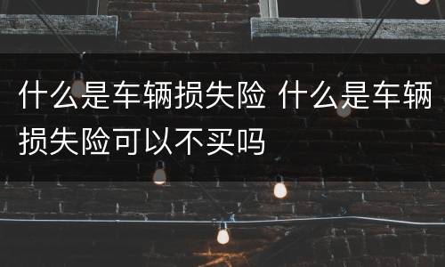 什么是车辆损失险 什么是车辆损失险可以不买吗