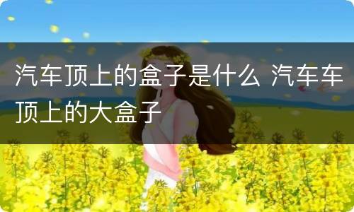 汽车顶上的盒子是什么 汽车车顶上的大盒子