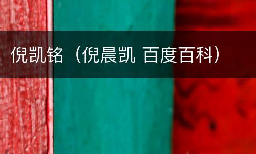 倪凯铭（倪晨凯 百度百科）