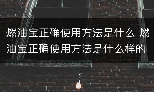 燃油宝正确使用方法是什么 燃油宝正确使用方法是什么样的