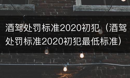 酒驾处罚标准2020初犯（酒驾处罚标准2020初犯最低标准）