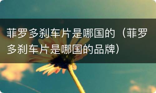 菲罗多刹车片是哪国的（菲罗多刹车片是哪国的品牌）