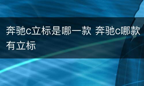 奔驰c立标是哪一款 奔驰c哪款有立标