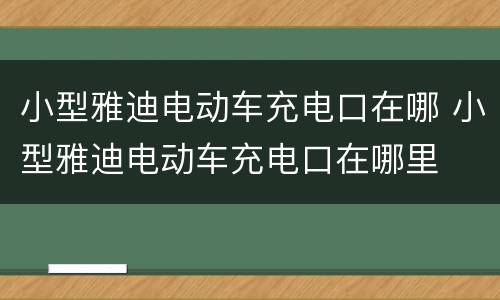 小型雅迪电动车充电口在哪 小型雅迪电动车充电口在哪里