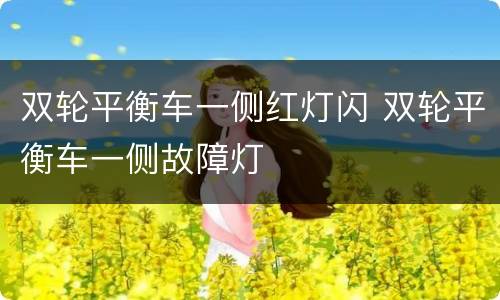 双轮平衡车一侧红灯闪 双轮平衡车一侧故障灯