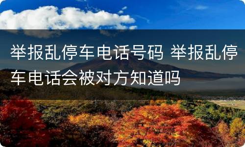 举报乱停车电话号码 举报乱停车电话会被对方知道吗