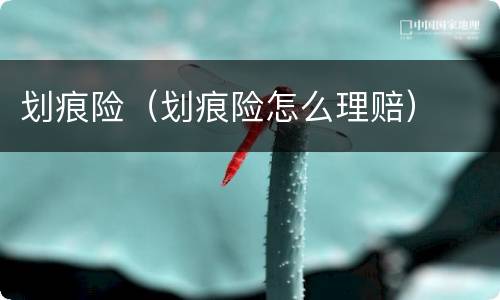 划痕险（划痕险怎么理赔）