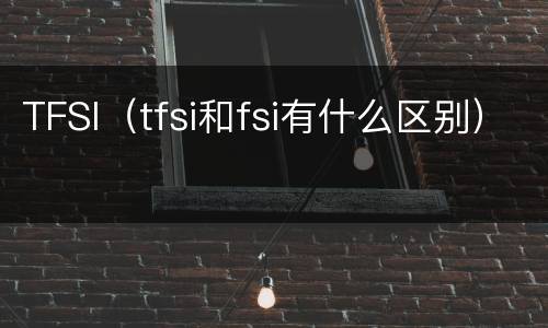 TFSI（tfsi和fsi有什么区别）
