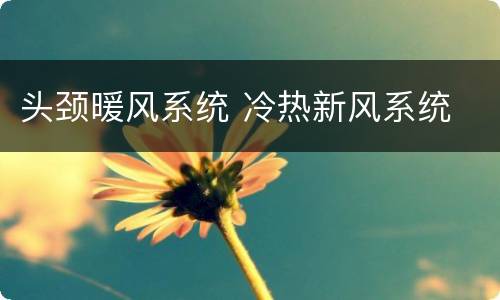 头颈暖风系统 冷热新风系统