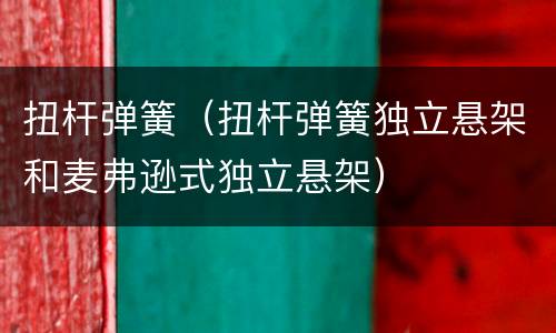 扭杆弹簧（扭杆弹簧独立悬架和麦弗逊式独立悬架）