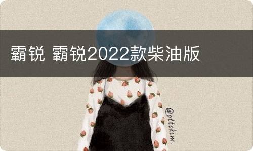 霸锐 霸锐2022款柴油版