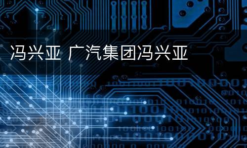 冯兴亚 广汽集团冯兴亚