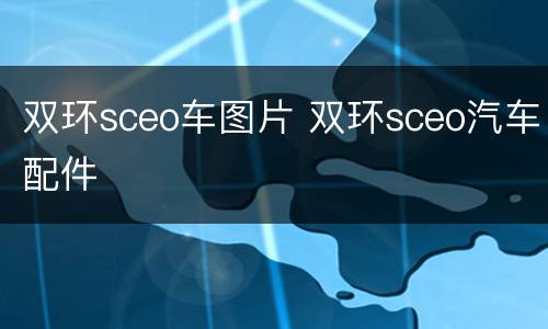 双环sceo车图片 双环sceo汽车配件