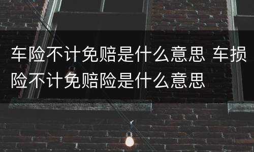 车险不计免赔是什么意思 车损险不计免赔险是什么意思