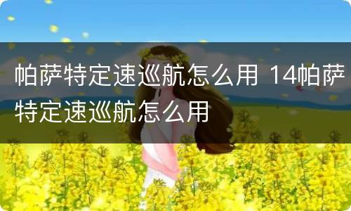 帕萨特定速巡航怎么用 14帕萨特定速巡航怎么用