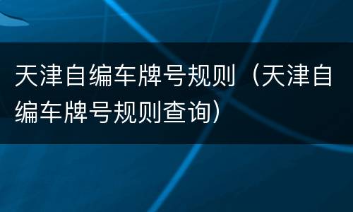 天津自编车牌号规则（天津自编车牌号规则查询）