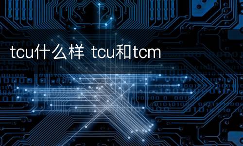 tcu什么样 tcu和tcm