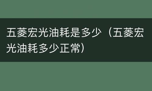 五菱宏光油耗是多少（五菱宏光油耗多少正常）