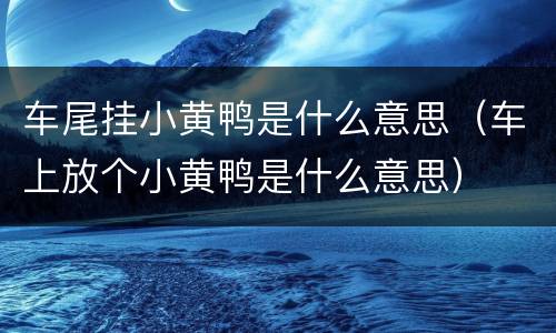 车尾挂小黄鸭是什么意思（车上放个小黄鸭是什么意思）