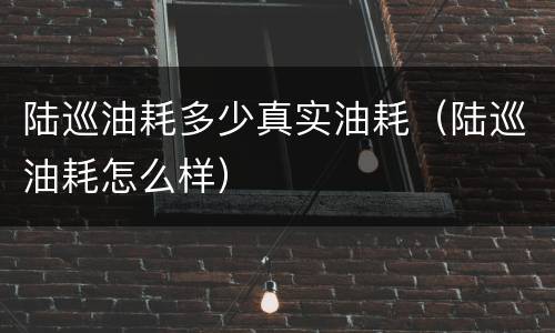 陆巡油耗多少真实油耗（陆巡油耗怎么样）