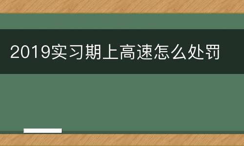2019实习期上高速怎么处罚
