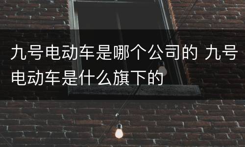 九号电动车是哪个公司的 九号电动车是什么旗下的