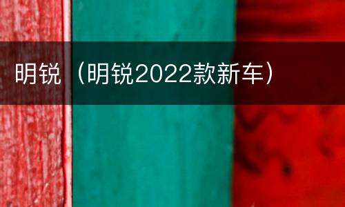 明锐（明锐2022款新车）