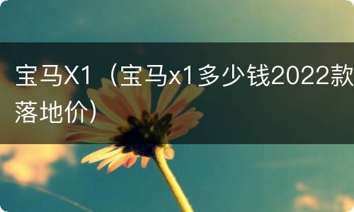 宝马X1（宝马x1多少钱2022款落地价）