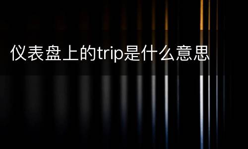 仪表盘上的trip是什么意思