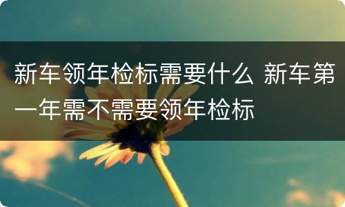 新车领年检标需要什么 新车第一年需不需要领年检标