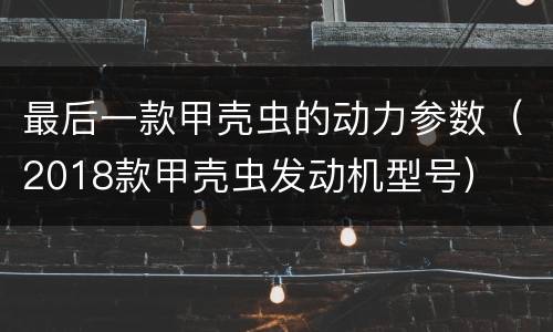最后一款甲壳虫的动力参数（2018款甲壳虫发动机型号）