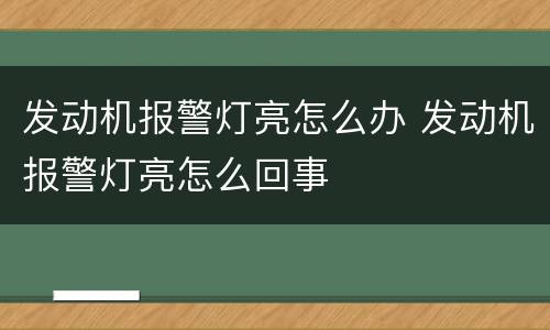 发动机报警灯亮怎么办 发动机报警灯亮怎么回事