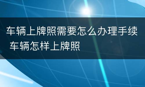 车辆上牌照需要怎么办理手续 车辆怎样上牌照