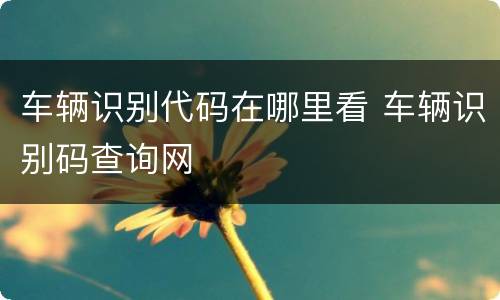 车辆识别代码在哪里看 车辆识别码查询网