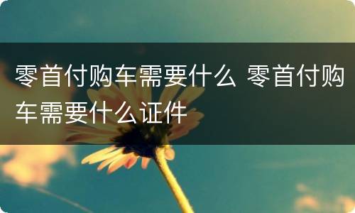 零首付购车需要什么 零首付购车需要什么证件