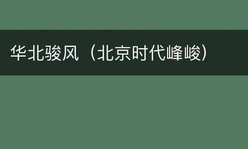 华北骏风（北京时代峰峻）