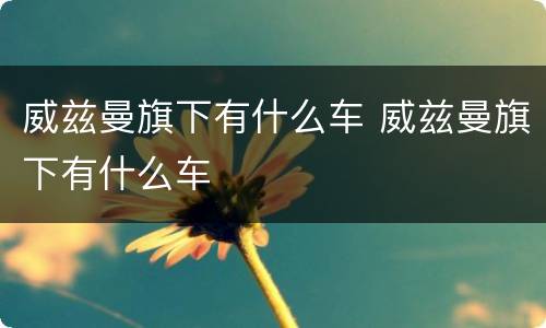 威兹曼旗下有什么车 威兹曼旗下有什么车