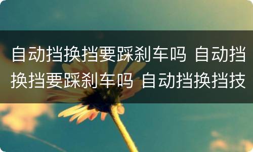 自动挡换挡要踩刹车吗 自动挡换挡要踩刹车吗 自动挡换挡技巧详解