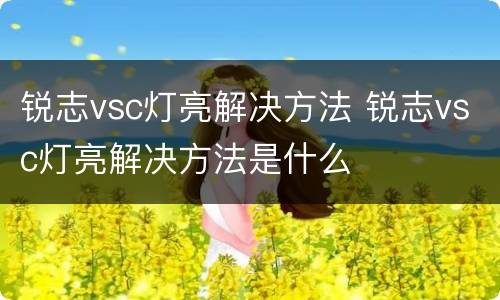 锐志vsc灯亮解决方法 锐志vsc灯亮解决方法是什么