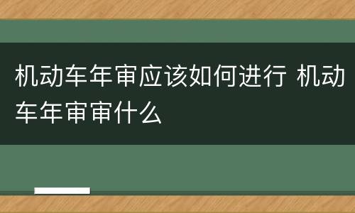 机动车年审应该如何进行 机动车年审审什么