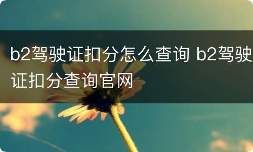 b2驾驶证扣分怎么查询 b2驾驶证扣分查询官网