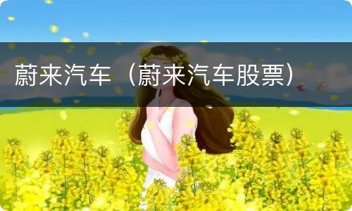 蔚来汽车（蔚来汽车股票）