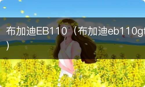 布加迪EB110（布加迪eb110gt）