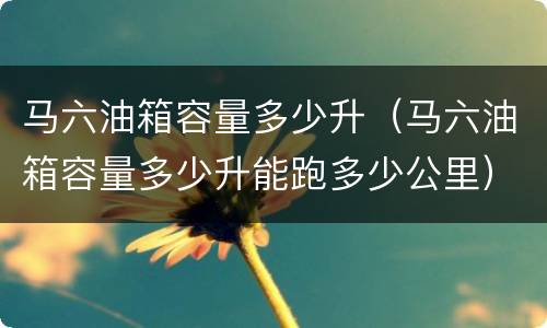 马六油箱容量多少升（马六油箱容量多少升能跑多少公里）